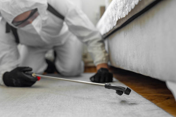 Professional Ant Control technician working in Lake Erie Beach, NY